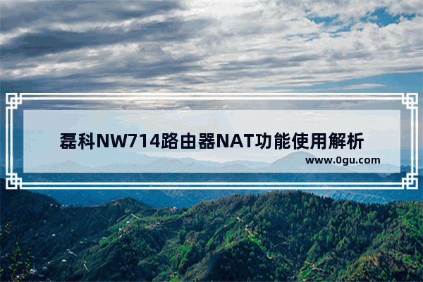 磊科NW714路由器NAT功能使用解析