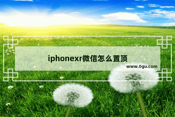 iphonexr微信怎么置顶