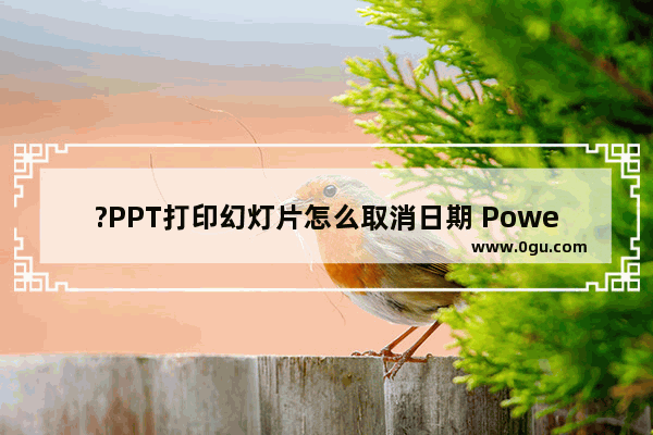 ?PPT打印幻灯片怎么取消日期 PowerPoint演示文稿取消打印日期的方法教程