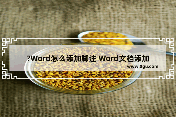 ?Word怎么添加脚注 Word文档添加脚注的方法教程