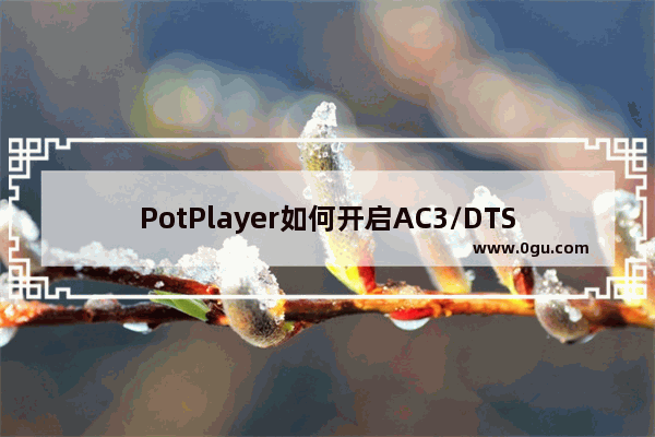 PotPlayer如何开启AC3/DTS音效音量处理功能 PotPlayer设置蓝光电影音效的方法