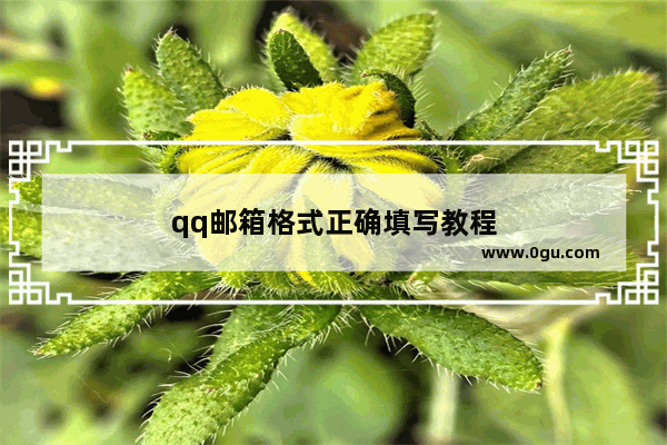 qq邮箱格式正确填写教程