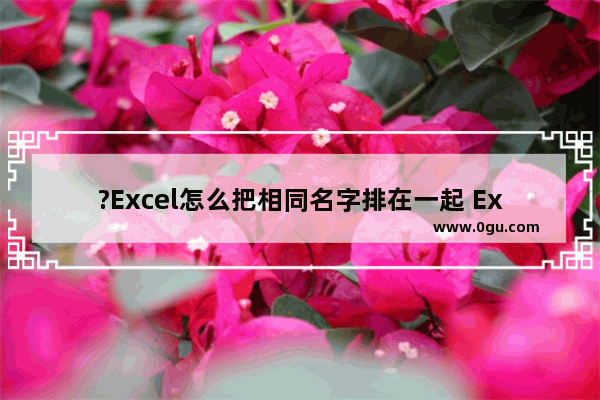 ?Excel怎么把相同名字排在一起 Excel表格把相同名字排在一起的方法教程