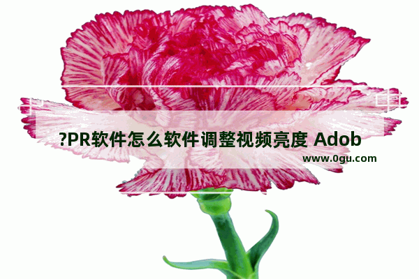 ?PR软件怎么软件调整视频亮度 Adobe premiere调整视频亮度的方法教程