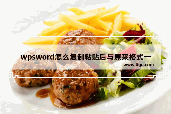 wpsword怎么复制粘贴后与原来格式一样 wps word复制一页一模一样的文字到新的页面的方法