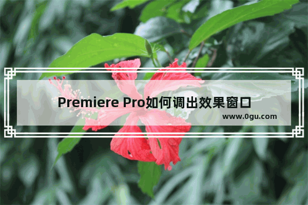 Premiere Pro如何调出效果窗口