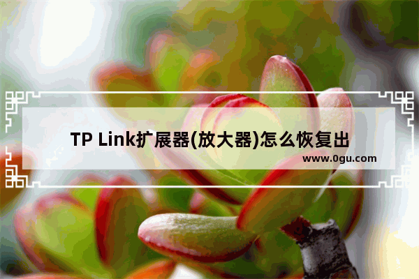 TP Link扩展器(放大器)怎么恢复出厂设置？