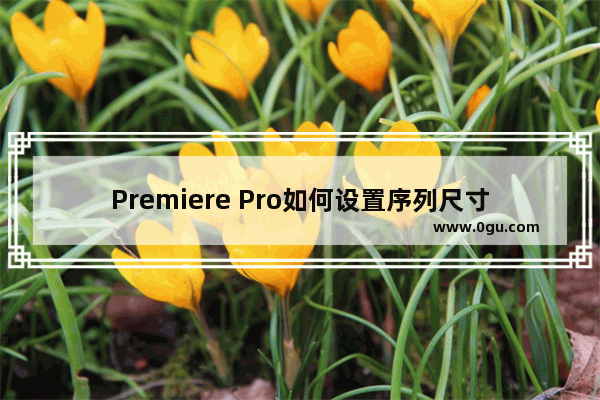 Premiere Pro如何设置序列尺寸