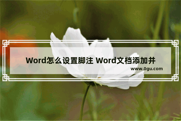 Word怎么设置脚注 Word文档添加并设置脚注的方法教程