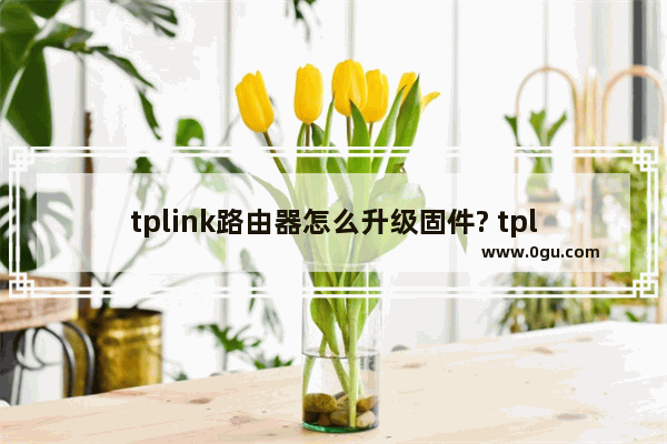 tplink路由器怎么升级固件? tplink更新路由器固件的技巧