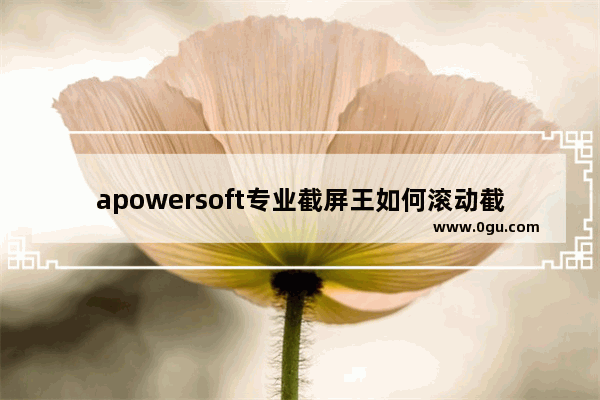 apowersoft专业截屏王如何滚动截屏 apowersoft专业截屏王滚动窗口截长图的方法