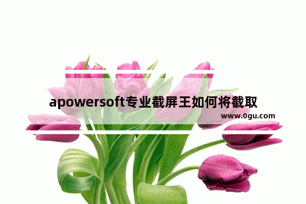 apowersoft专业截屏王如何将截取图片的格式更改为jpg导出 apowersoft专业截屏王导出jpg图片的方法