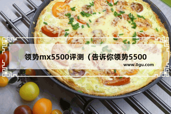 领势mx5500评测（告诉你领势5500怎么样）