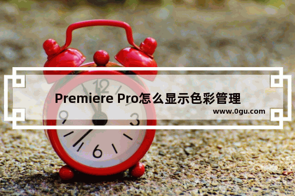 Premiere Pro怎么显示色彩管理