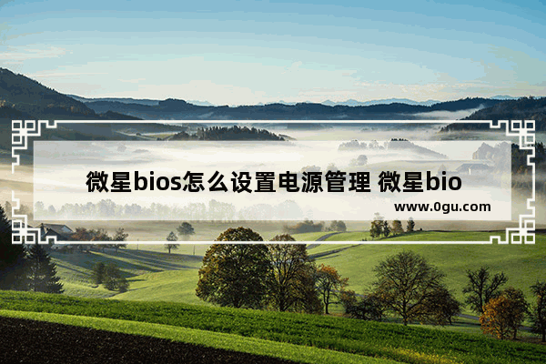 微星bios怎么设置电源管理 微星bios怎么设置电源管理器