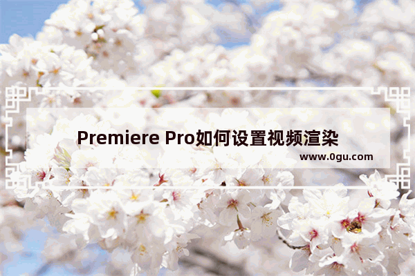 Premiere Pro如何设置视频渲染时不渲染音频