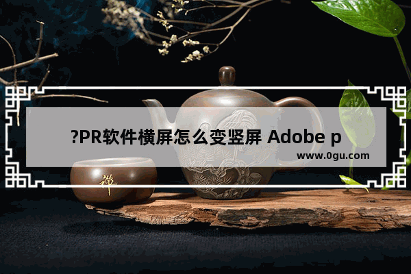 ?PR软件横屏怎么变竖屏 Adobe premiere将视频从横屏变为竖屏的方法教程