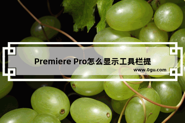 Premiere Pro怎么显示工具栏提示