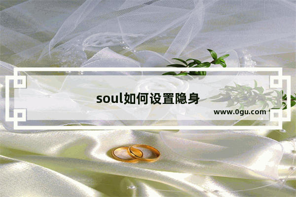 soul如何设置隐身