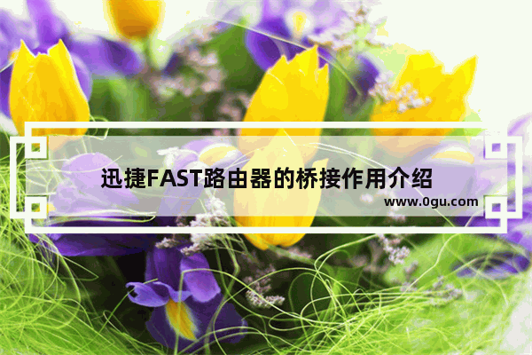 迅捷FAST路由器的桥接作用介绍