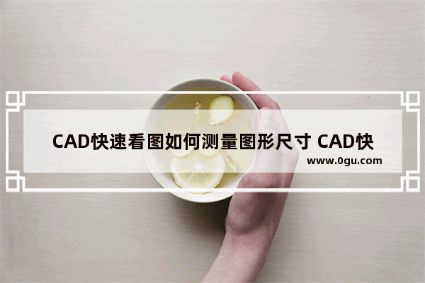 CAD快速看图如何测量图形尺寸 CAD快速看图测量图形长度的方法