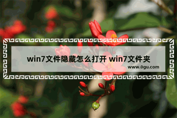 win7文件隐藏怎么打开 win7文件夹中的隐藏文件怎么显示