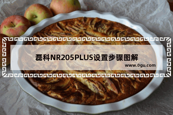 磊科NR205PLUS设置步骤图解