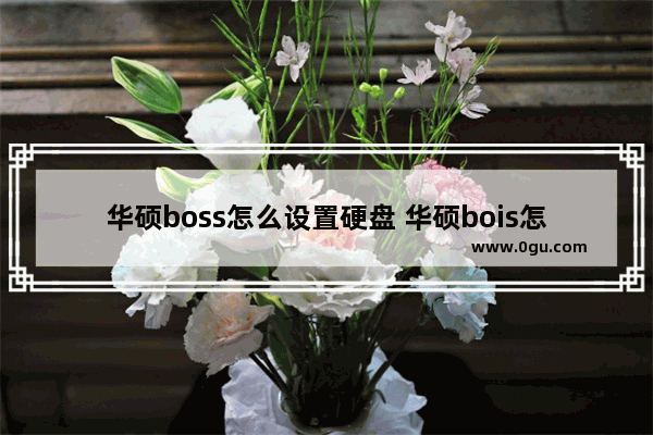 华硕boss怎么设置硬盘 华硕bois怎么设置硬盘启动