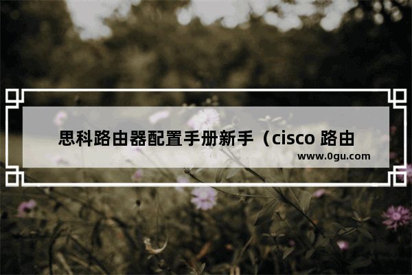 思科路由器配置手册新手（cisco 路由器 配置）