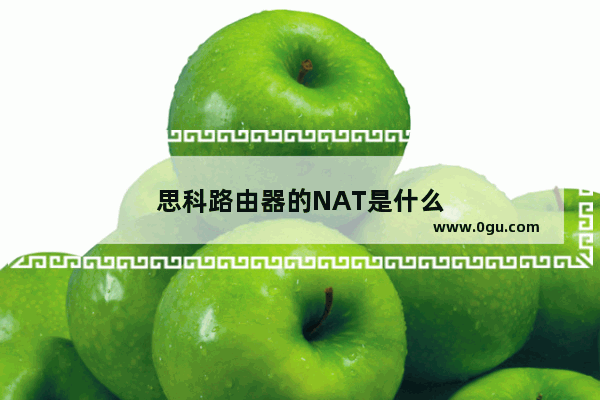 思科路由器的NAT是什么