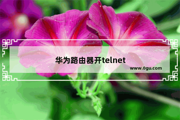 华为路由器开telnet