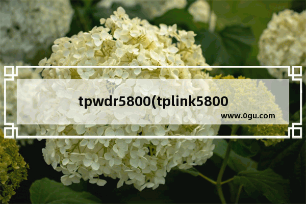 tpwdr5800(tplink5800怎么设置)