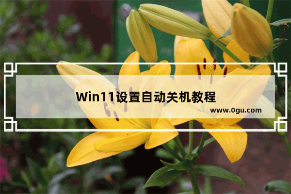 Win11设置自动关机教程