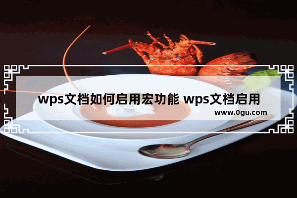 wps文档如何启用宏功能 wps文档启用宏功能进行创建的方法