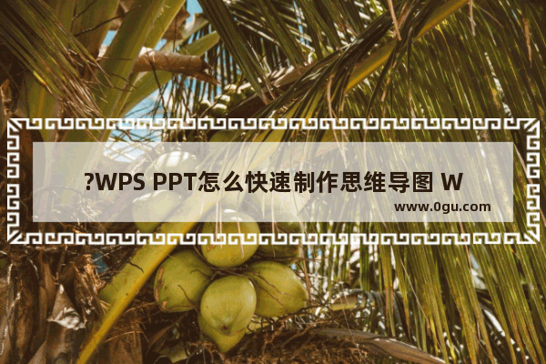 ?WPS PPT怎么快速制作思维导图 WPS演示文稿电脑版快速制作思维导图的方法教程