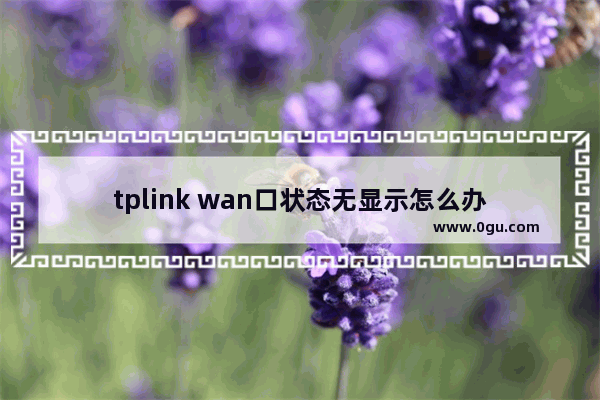 tplink wan口状态无显示怎么办