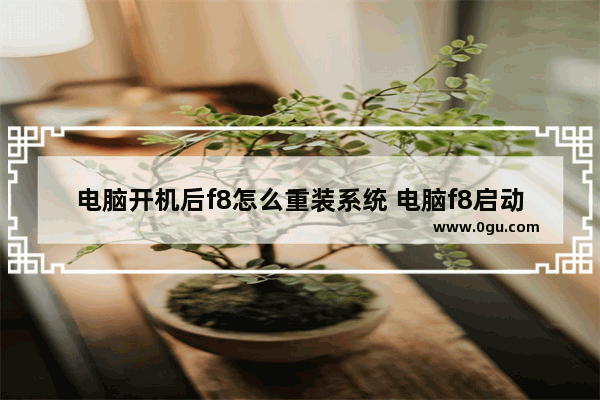 电脑开机后f8怎么重装系统 电脑f8启动