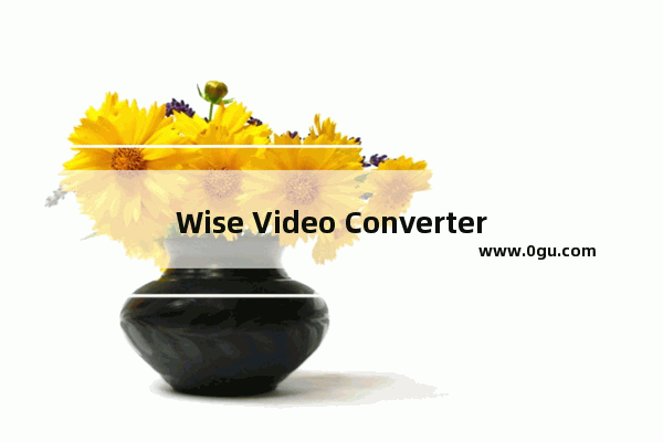 Wise Video Converter Pro的使用方法 Wise Video Converter Pro将视频转换为手机设备格式的方法