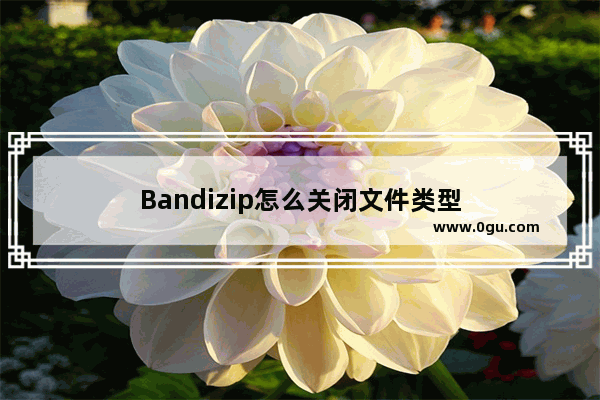 Bandizip怎么关闭文件类型