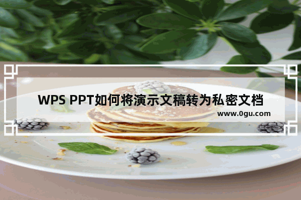 WPS PPT如何将演示文稿转为私密文档 WPS PPT将演示文稿转为私密文档的方法