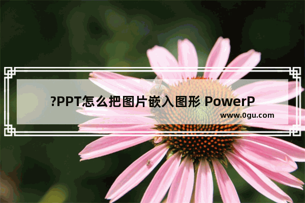 ?PPT怎么把图片嵌入图形 PowerPoint演示文稿把图片嵌入图形的方法教程