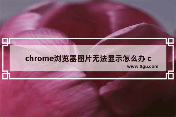 chrome浏览器图片无法显示怎么办 chrome浏览器图片无法显示图文教程分享