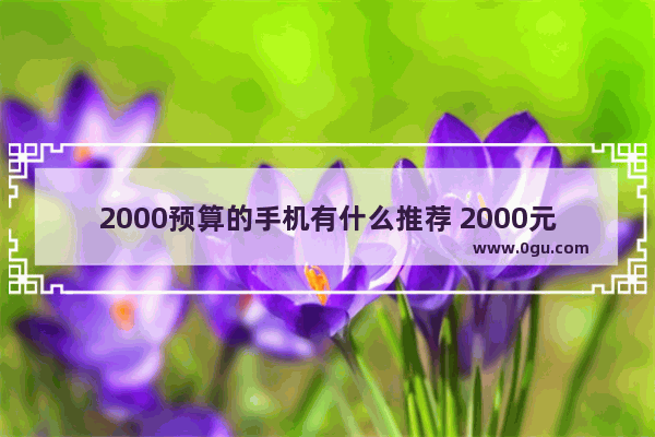 2000预算的手机有什么推荐 2000元价位档手机推荐