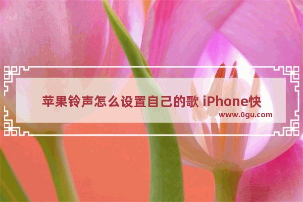 苹果铃声怎么设置自己的歌 iPhone快速设置自定义铃声步骤