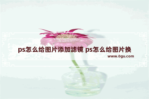 ps怎么给图片添加滤镜 ps怎么给图片换滤镜的方法