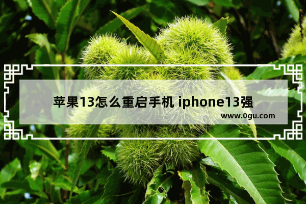 苹果13怎么重启手机 iphone13强制重启手机教程