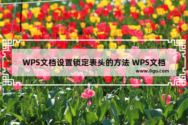 WPS文档设置锁定表头的方法 WPS文档如何将表格的表头进行固定