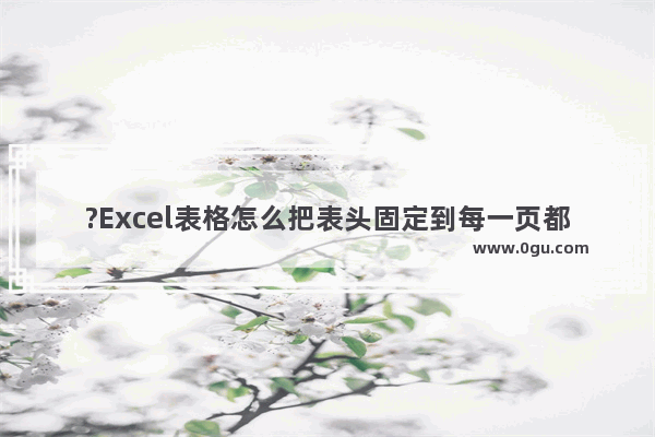 ?Excel表格怎么把表头固定到每一页都有 Excel表格固定表头的方法教程