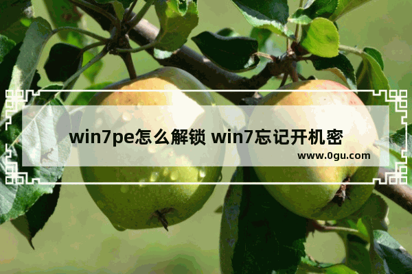 win7pe怎么解锁 win7忘记开机密码pe盘怎么做