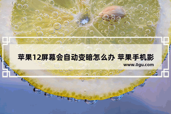 苹果12屏幕会自动变暗怎么办 苹果手机影响屏幕亮度的原因和解决方法